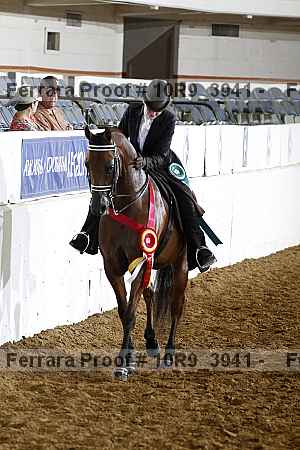 Proof 10r9_3941