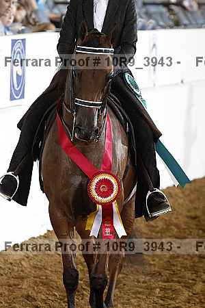 Proof 10r9_3943