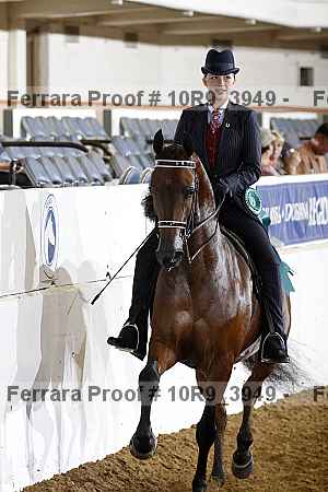 Proof 10r9_3949