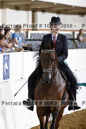 Proof 10r9_3950