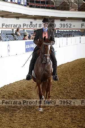 Proof 10r9_3952