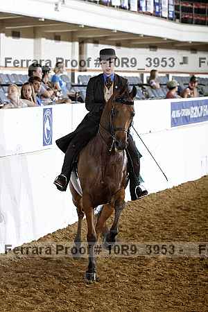 Proof 10r9_3953