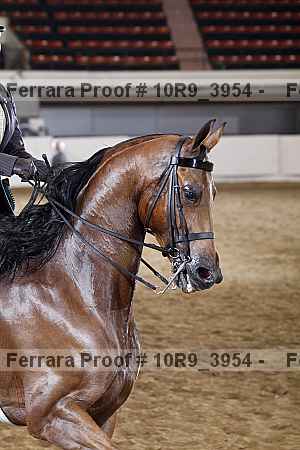 Proof 10r9_3954