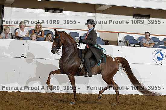 Proof 10r9_3955