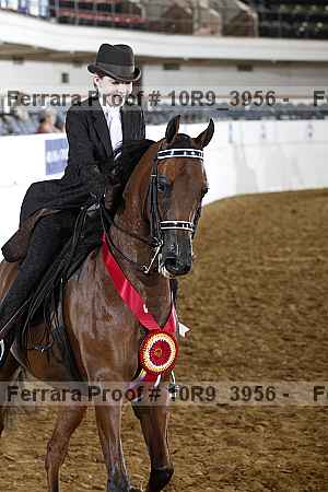 Proof 10r9_3956
