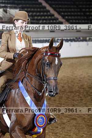 Proof 10r9_3961