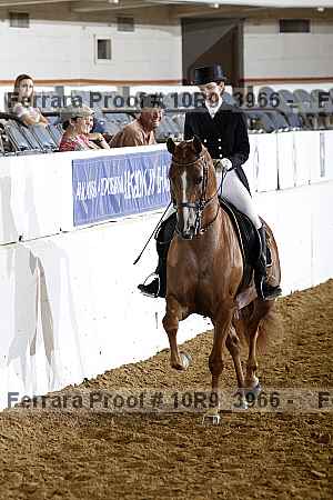 Proof 10r9_3966