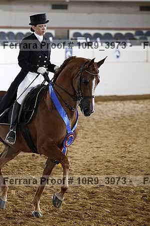 Proof 10r9_3973