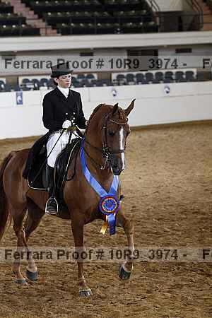 Proof 10r9_3974