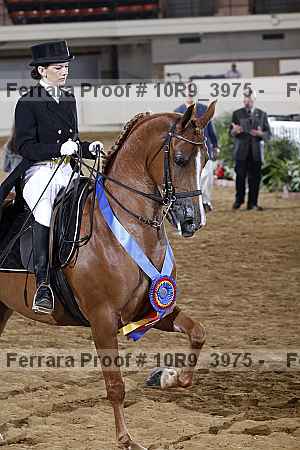 Proof 10r9_3975