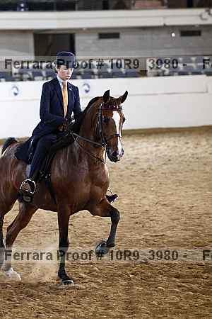Proof 10r9_3980