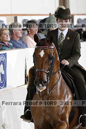 Proof 10r9_3981