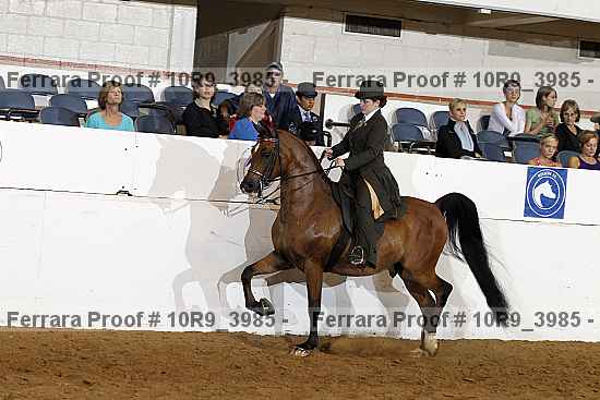 Proof 10r9_3985