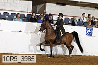 10r9_3985 proof