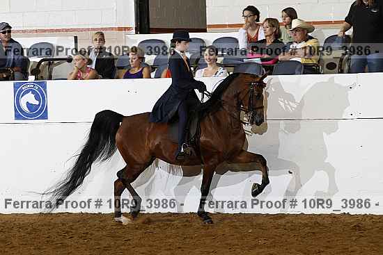 Proof 10r9_3986