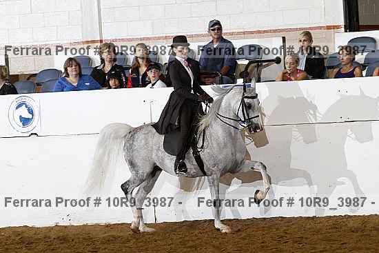 Proof 10r9_3987