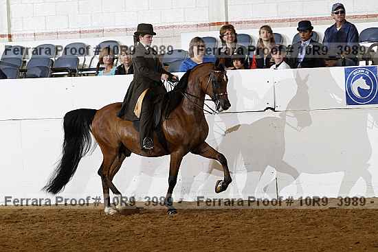 Proof 10r9_3989