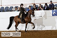 10r9_3989 proof