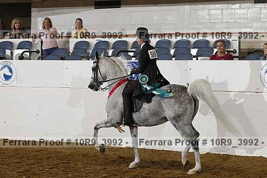 Proof 10r9_3992
