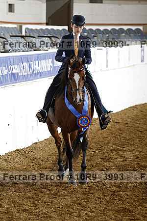 Proof 10r9_3993
