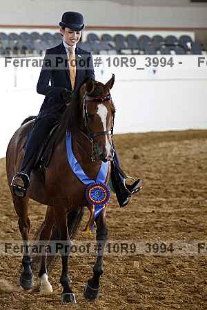 Proof 10r9_3994