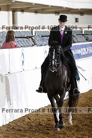 Proof 10r9_3996