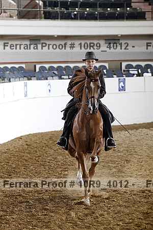 Proof 10r9_4012