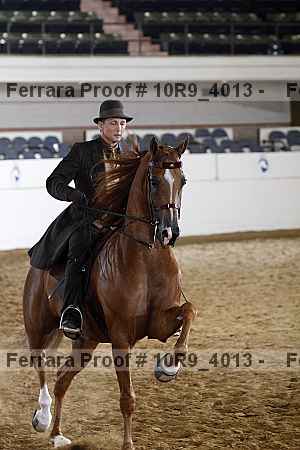 Proof 10r9_4013