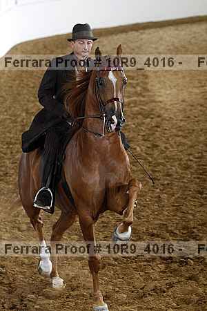 Proof 10r9_4016