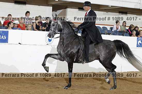 Proof 10r9_4017