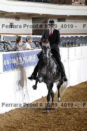 Proof 10r9_4019