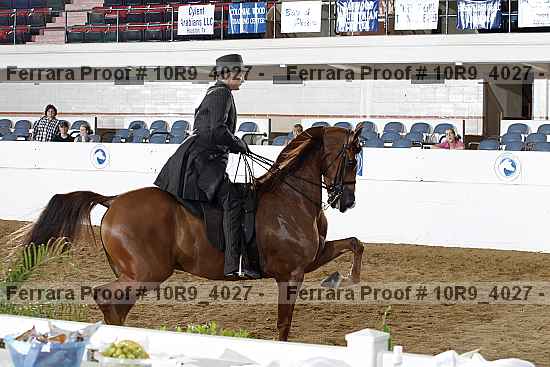 Proof 10r9_4027
