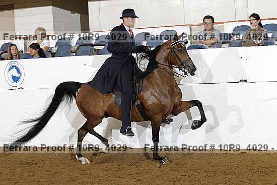 Proof 10r9_4029