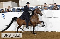 10r9_4029 proof