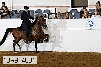 10r9_4031 proof