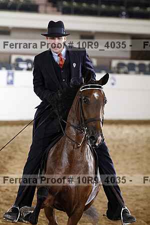 Proof 10r9_4035
