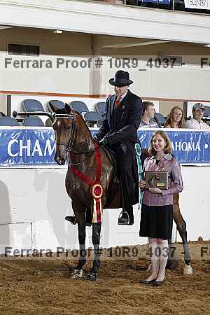 Proof 10r9_4037