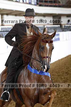Proof 10r9_4049