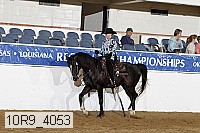 10r9_4053 proof
