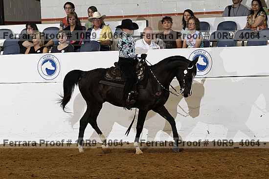 Proof 10r9_4064