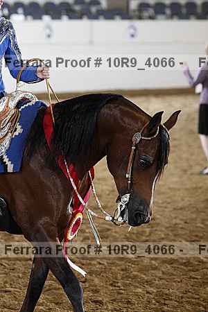 Proof 10r9_4066