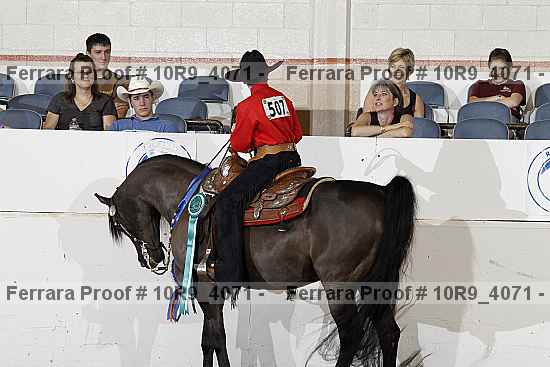 Proof 10r9_4071