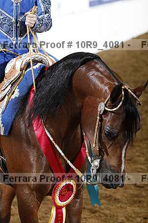 Proof 10r9_4081