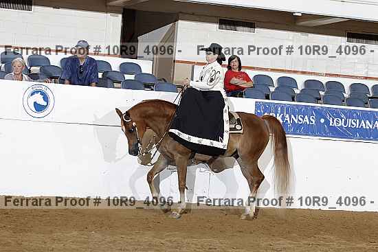 Proof 10r9_4096