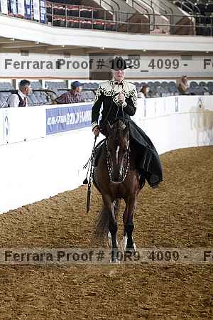 Proof 10r9_4099
