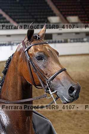 Proof 10r9_4107