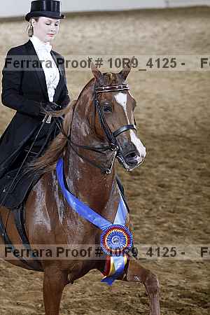 Proof 10r9_4125
