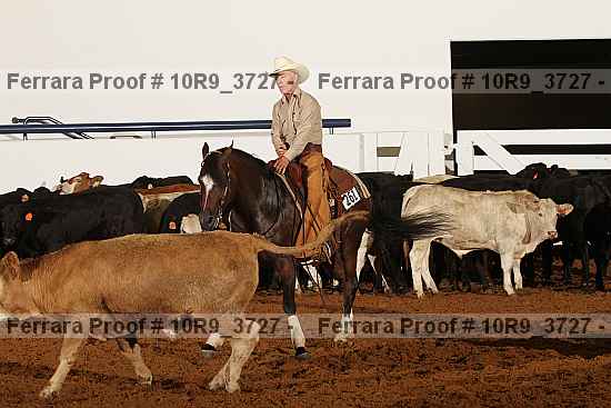 Proof 10r9_3727