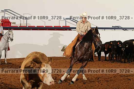 Proof 10r9_3728
