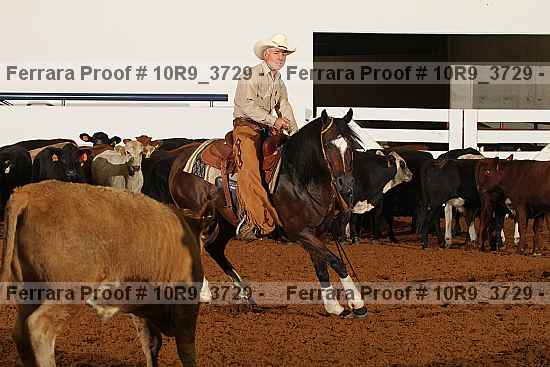 Proof 10r9_3729
